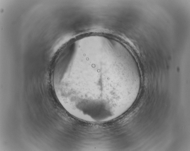 X0000089381263200707061130