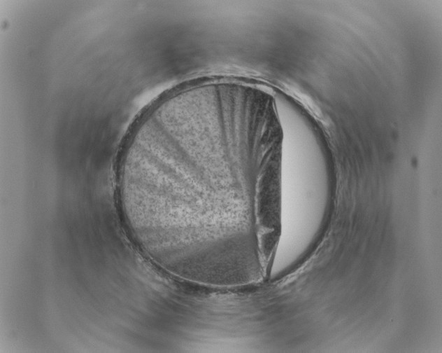 X0000089381264200707061130