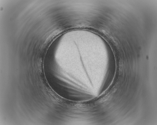 X0000089381265200707061130