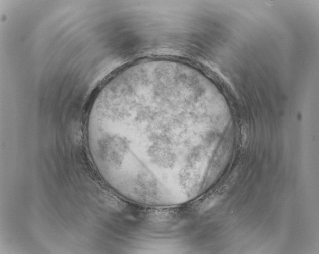 X0000089381266200707061130