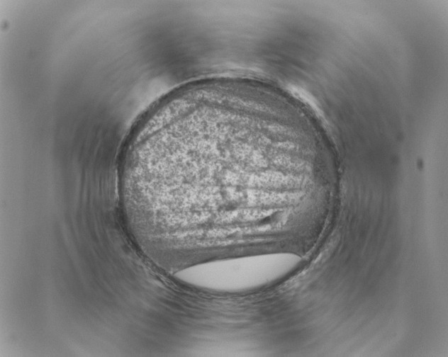 X0000089381267200707061130