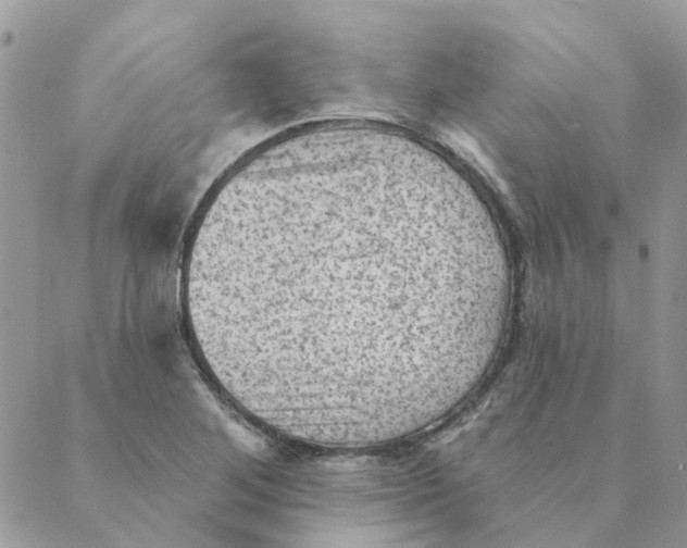 X0000089381268200707061130