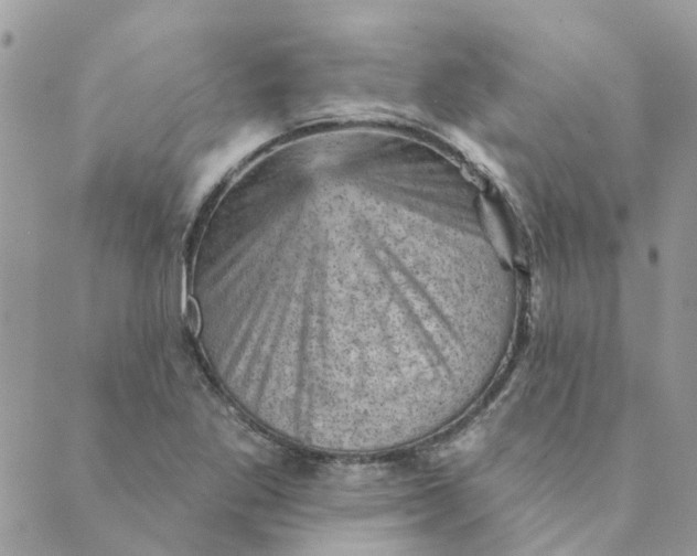 X0000089381269200707061130