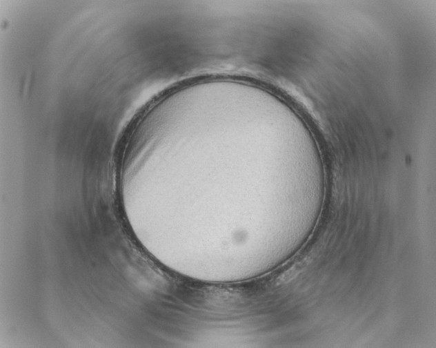 X0000089381270200707061130