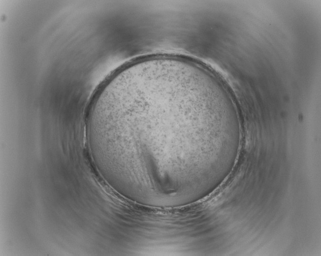 X0000089381271200707061130