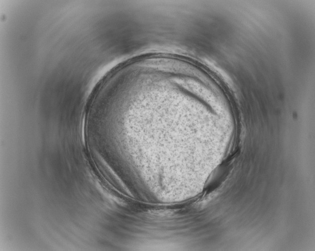 X0000089381272200707061130