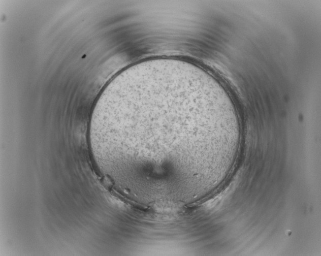 X0000089381273200707061130