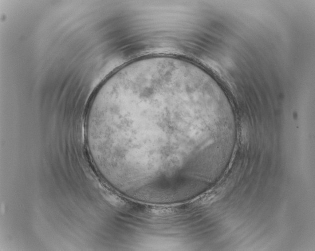 X0000089381274200707061130