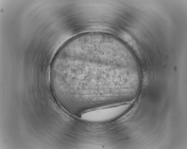 X0000089381275200707061130