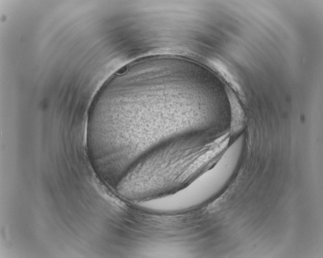 X0000089381276200707061130