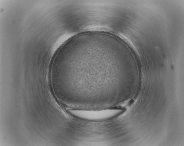 X0000089381277200707061130