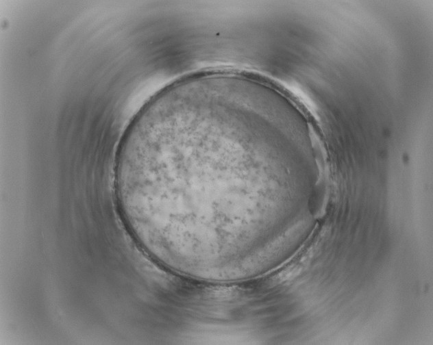 X0000089381279200707061130