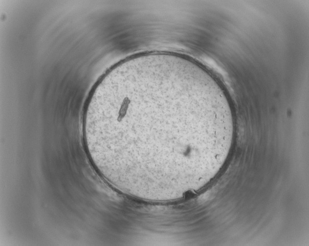 X0000089381280200707061130