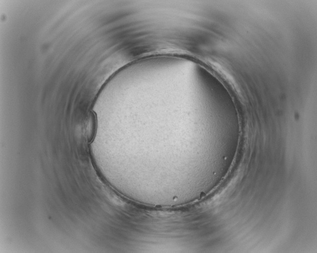 X0000089381281200707061130