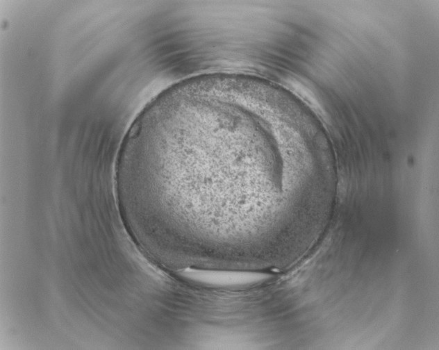 X0000089381283200707061130