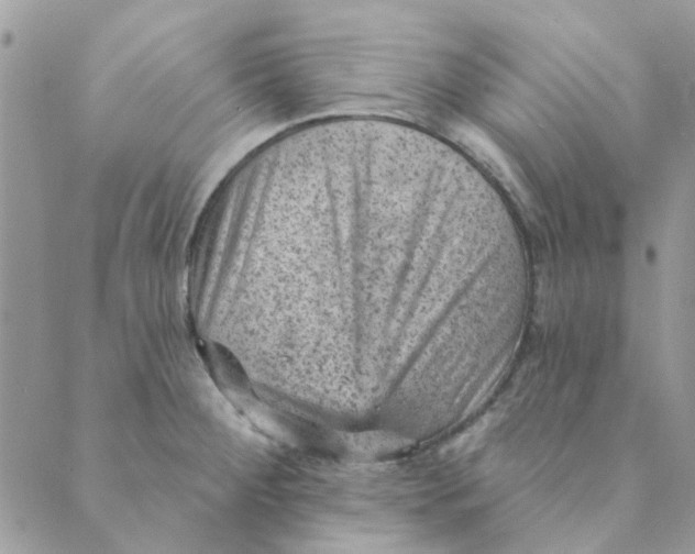 X0000089381284200707061130