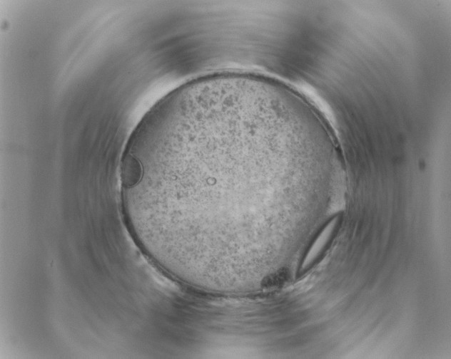 X0000089381287200707061130