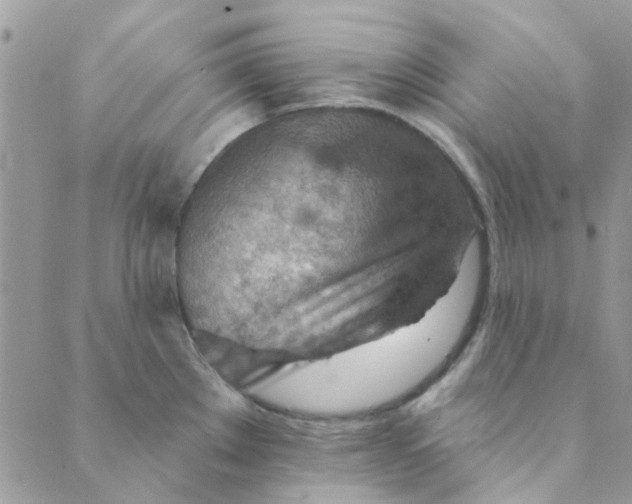 X0000089381289200707061130