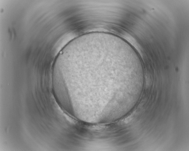 X0000089381290200707061130