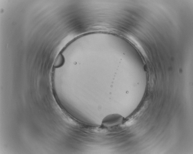 X0000089381291200707061130