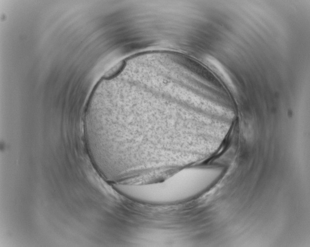 X0000089381292200707061130