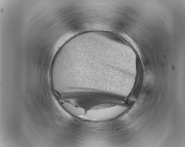 X0000089381293200707061130