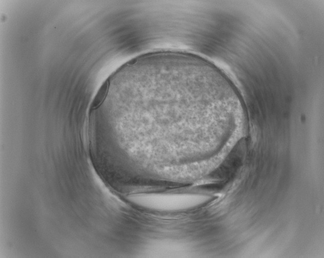 X0000089381295200707061130