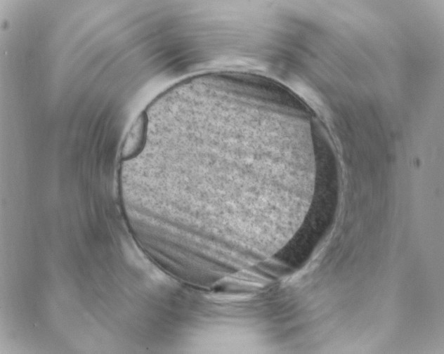 X0000089381296200707061129