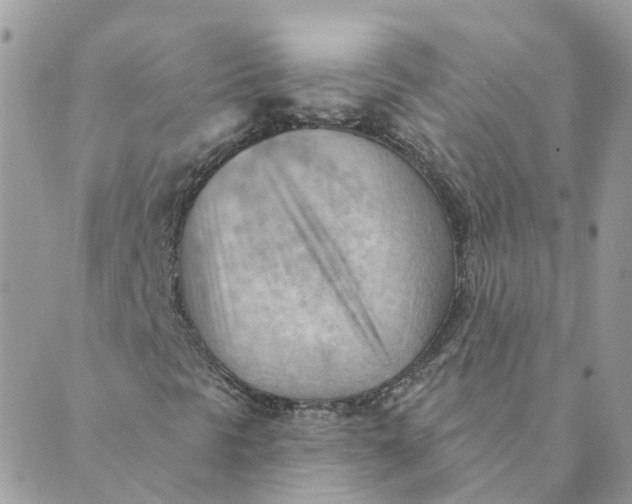 X0000089381297200707061129