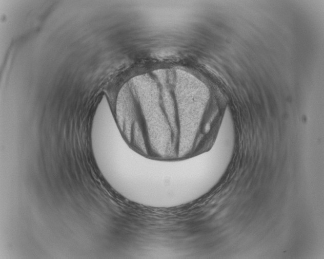 X0000089381298200707061129