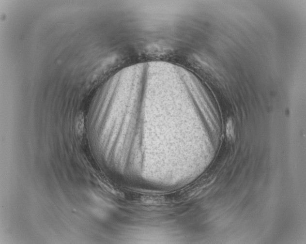 X0000089381299200707061129