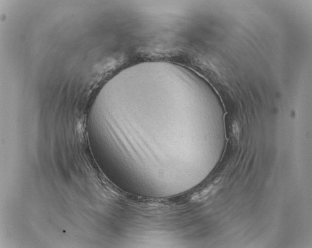 X0000089381300200707061129