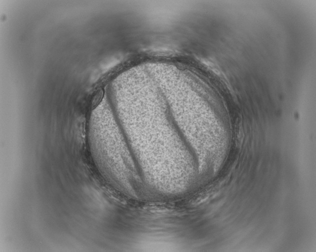 X0000089381301200707061129