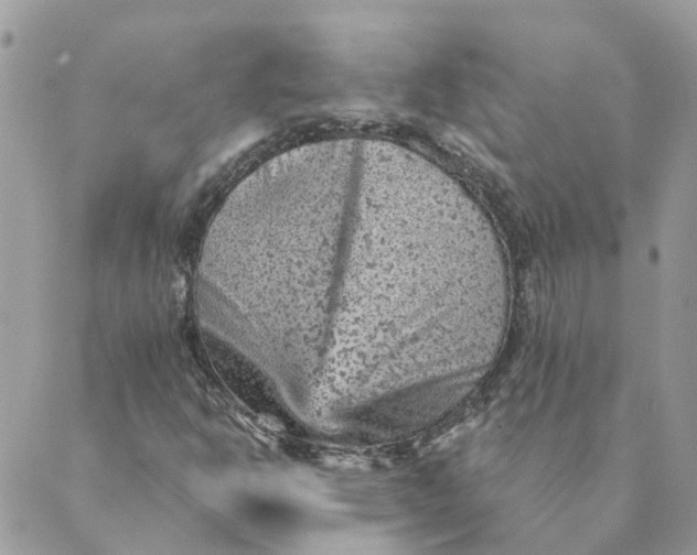 X0000089381302200707061129