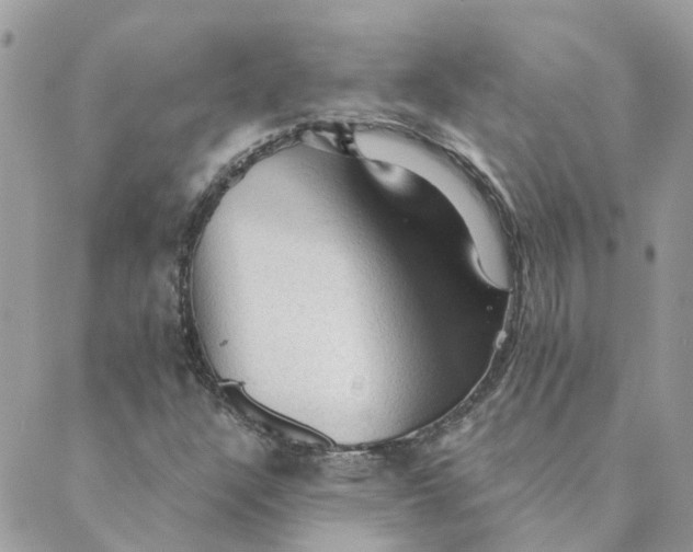 X0000089381304200707061129