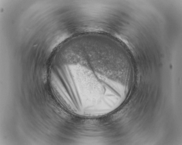 X0000089381306200707061129