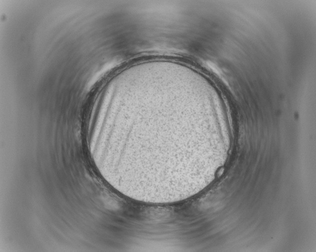 X0000089381307200707061129