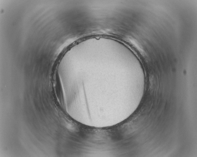 X0000089381308200707061129