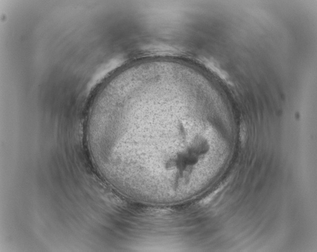 X0000089381309200707061129