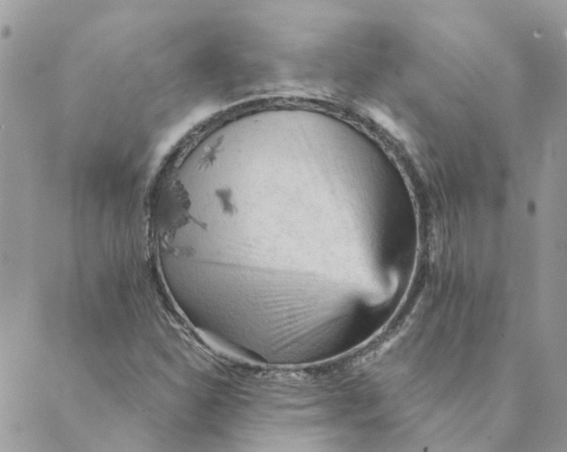 X0000089381310200707061129