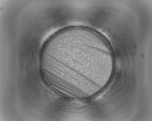 X0000089381311200707061129