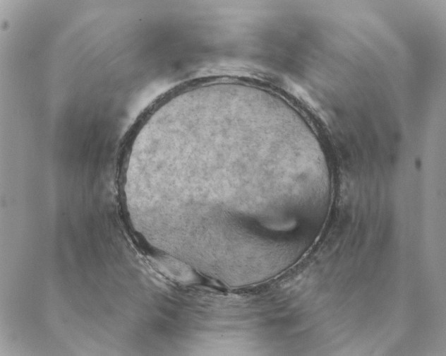 X0000089381312200707061129