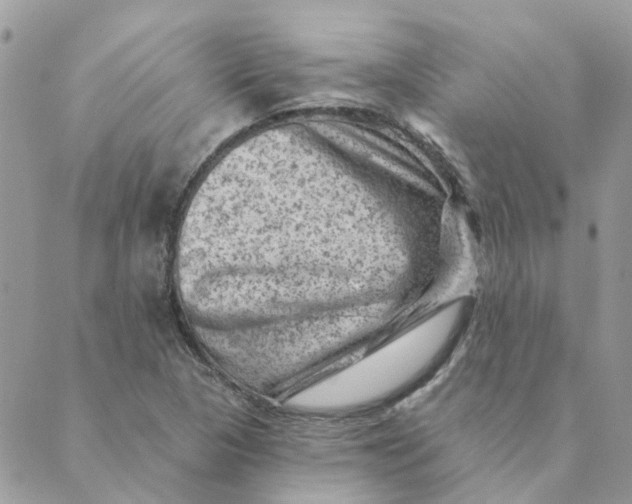 X0000089381313200707061129