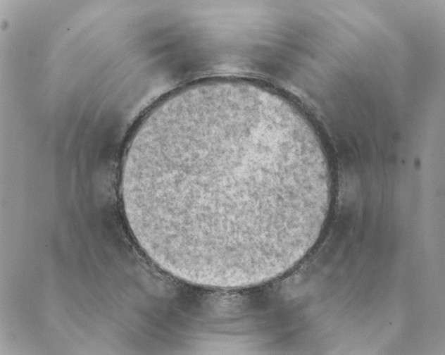 X0000089381314200707061129