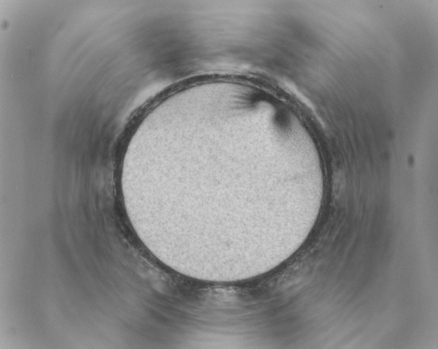 X0000089381315200707061129