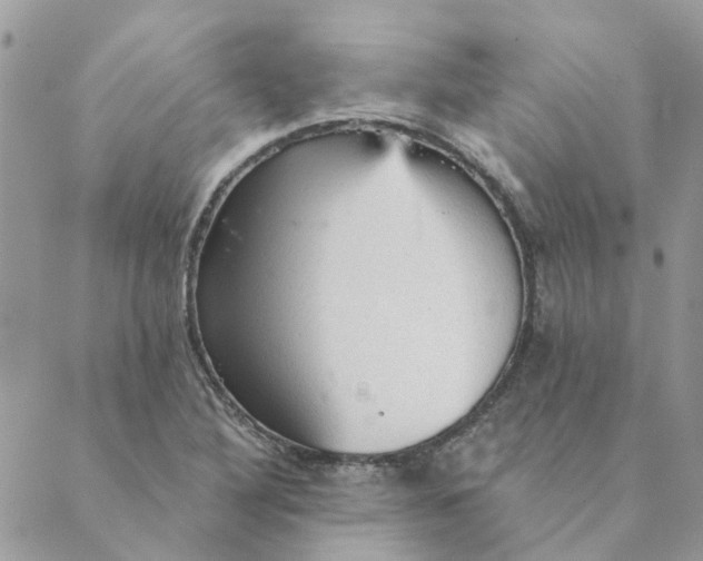 X0000089381316200707061129