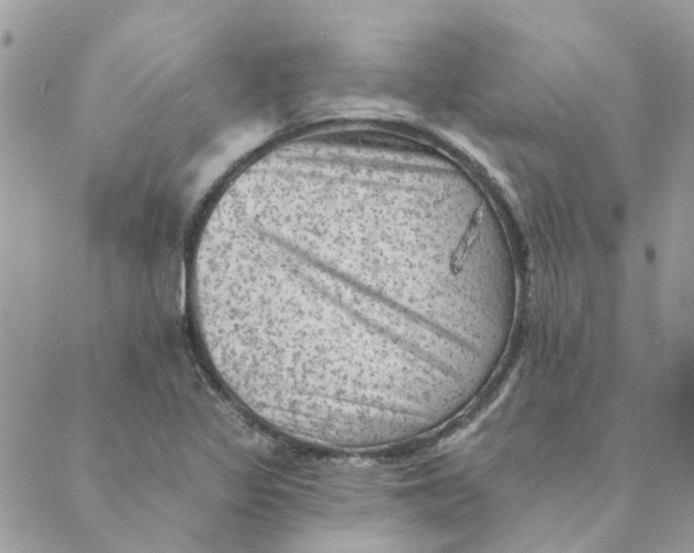 X0000089381317200707061129