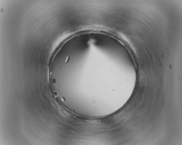 X0000089381320200707061129