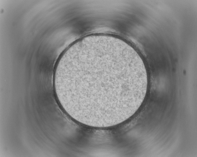 X0000089381322200707061129