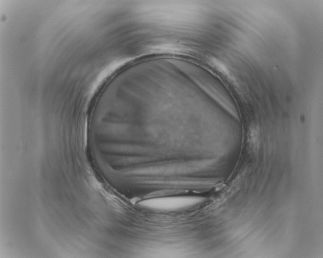 X0000089381323200707061129